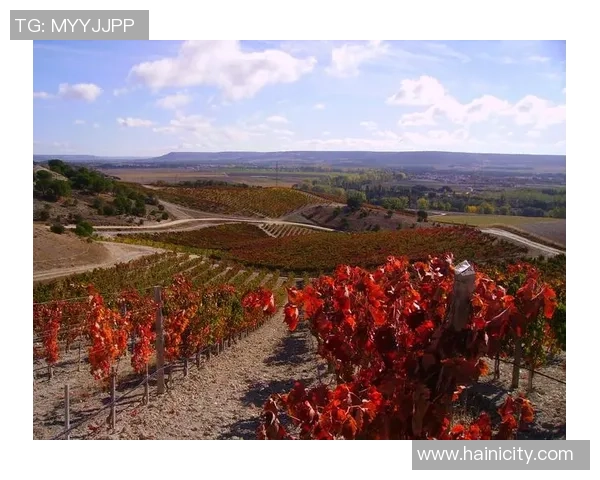 乌拉圭与意大利历史交锋回顾及精彩瞬间分析